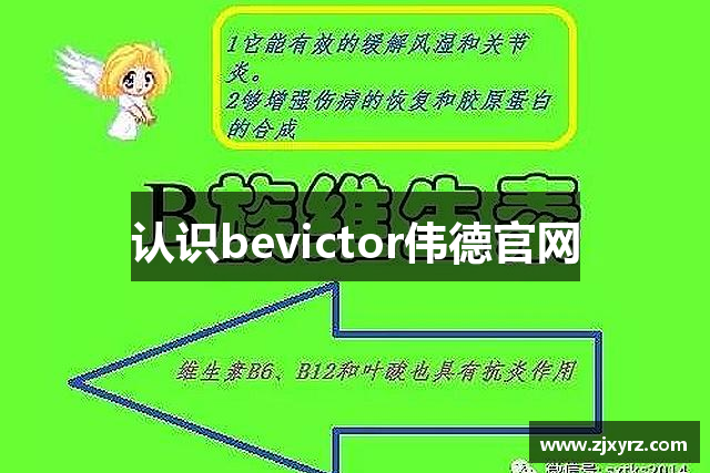 认识bevictor伟德官网